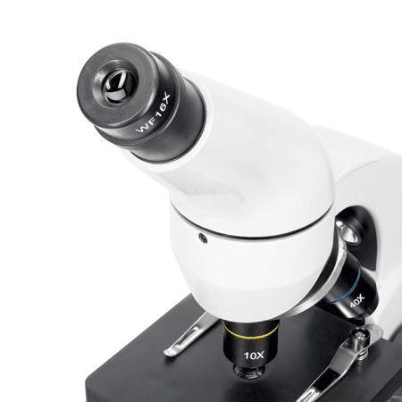 Микроскоп Levenhuk Rainbow D50L PLUS / Лунный камень